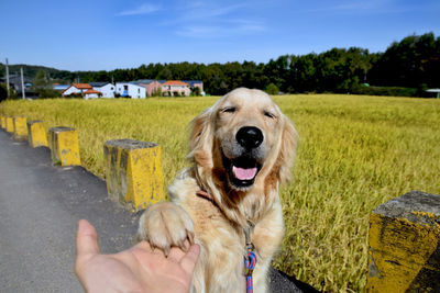 Woman with dog