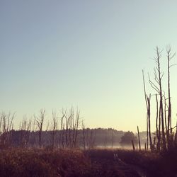 Scenic view of land against clear sky