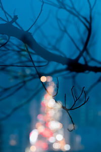 Low angle view of illuminated tree against sky at dusk