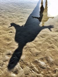 Shadow of people on sandy beach