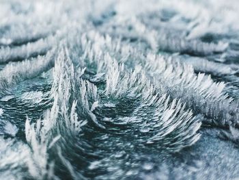 Close-up of frost on stone