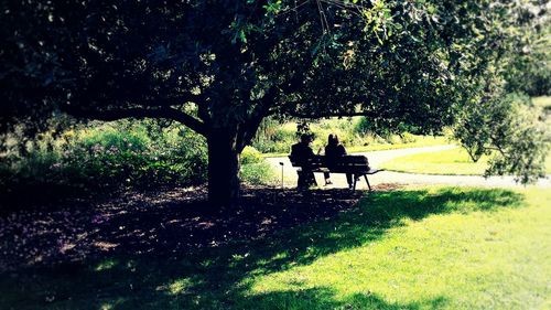 People sitting in park