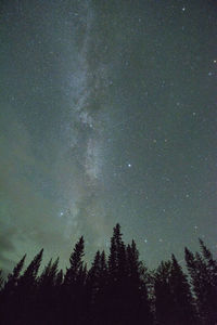 Low angle view of silhouette trees against sky at night