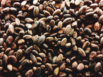 Full frame shot of cocoa beans