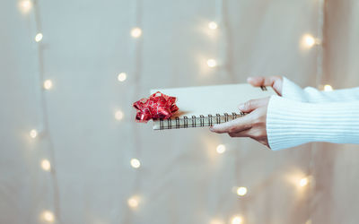 Close-up of hand holding flowers