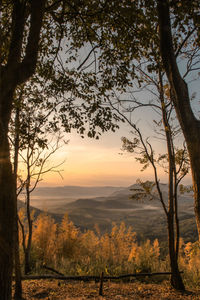 Scenic view of landscape against sky during sunset