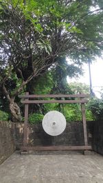 Trees and plants in park