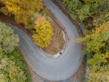 High angle view of road amidst trees during autumn