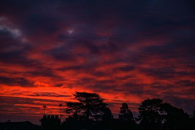 Silhouette trees against dramatic sky during sunset