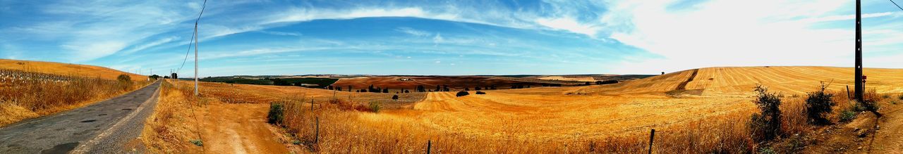 Road passing through field