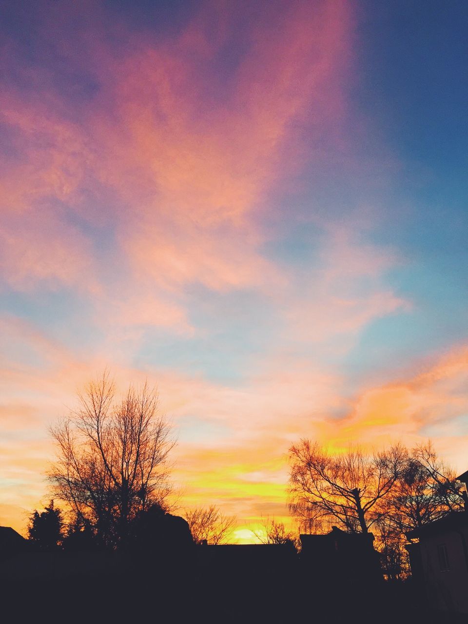 sunset, silhouette, tree, sky, orange color, beauty in nature, scenics, tranquility, tranquil scene, low angle view, cloud - sky, nature, idyllic, cloud, bare tree, outdoors, dramatic sky, no people, built structure, dusk