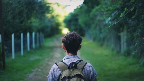 Rear view of man standing on field against trees