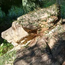 Rocks on rocks