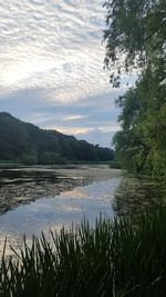 Scenic view of lake