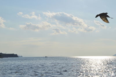 Seagull flying over sea against sky