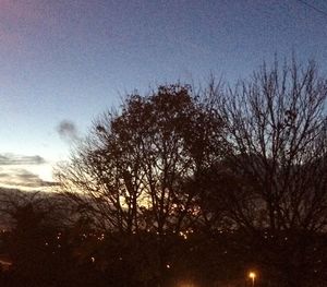 Low angle view of bare trees against sky