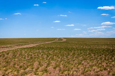 Scenic view of agricultural field against blue sky