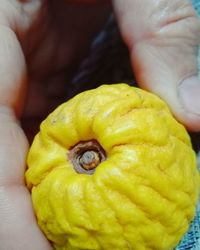 Close-up of hand holding yellow lemon