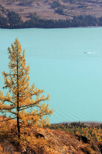 Scenic view of lake by trees during autumn