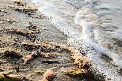 High angle view of water flowing on beach