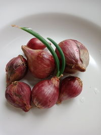 Close-up of vegetables in plate