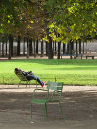 Trees in park