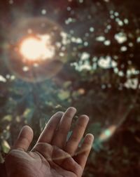 Close-up of hand gesturing against trees