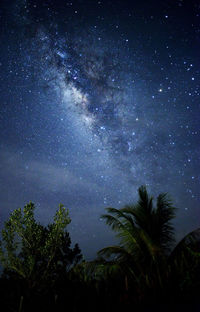 Low angle view of silhouette trees against sky at night