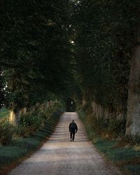 Rear view of man walking on footpath amidst trees