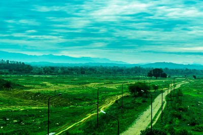 Scenic view of agricultural field against sky