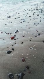 Pebbles on beach