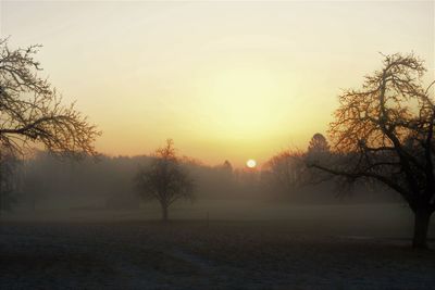 Trees on landscape against sky during sunset