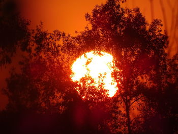 Low angle view of silhouette trees against sky at sunset