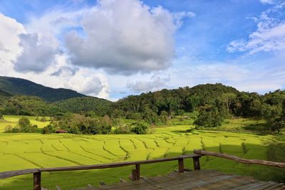 Scenic view of field against sky