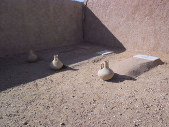 High angle view of pigeons perching on wall