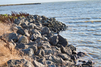 Rocks on sea shore