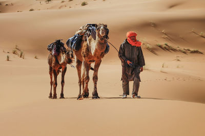 Full length of man walking with camels on sand in desert