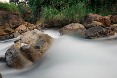 Close-up of rocks on land