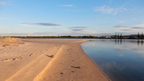 Scenic view of beach