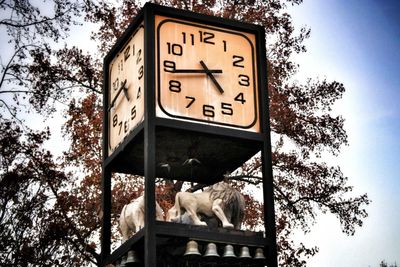 Low angle view of clock on tree against sky