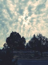 Low angle view of silhouette trees against sky