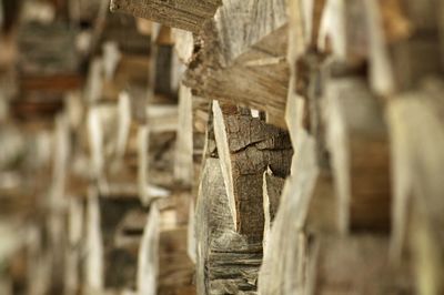 Stack of logs