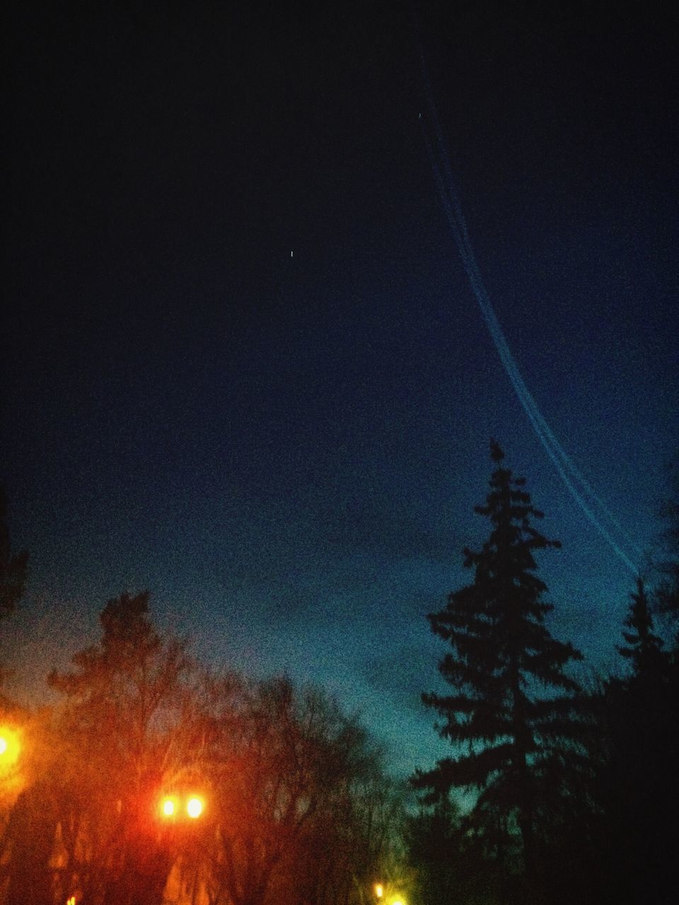 night, illuminated, sky, low angle view, star - space, scenics, tree, astronomy, beauty in nature, glowing, silhouette, nature, tranquility, dark, street light, star field, outdoors, no people, light - natural phenomenon, tranquil scene