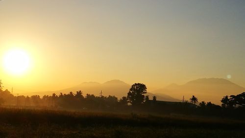 Silhouette trees on field against sky during sunset