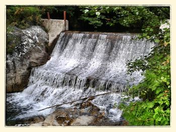 Scenic view of waterfall in forest