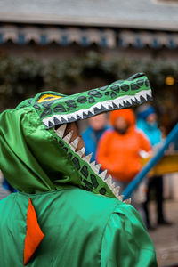 Crocodile costume - carnival