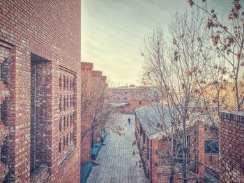 Bare trees and buildings against sky