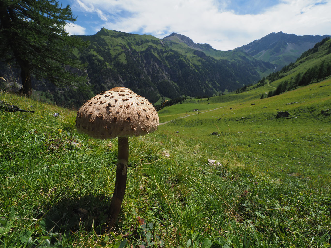 Summer in Liechtenstein