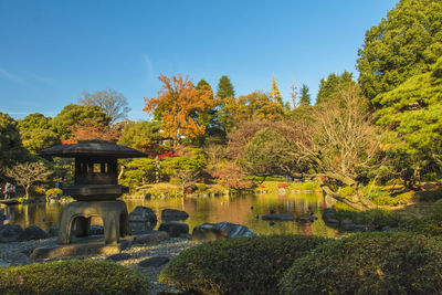 Plants and trees by lake against sky during autumn