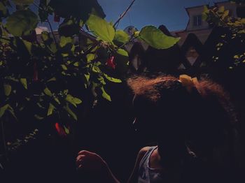 Rear view of man with plants